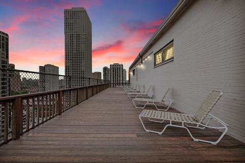 33 E Cedar St #12G, Chicago, IL 60611 photo 21