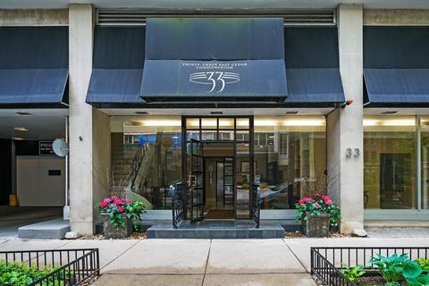 33 E Cedar St #12G, Chicago, IL 60611 photo 16