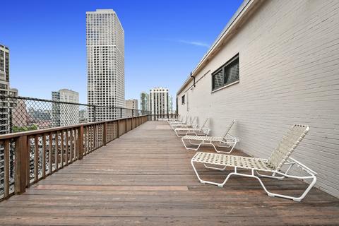33 E Cedar St #12G, Chicago, IL 60611 photo 22