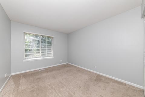 1317 Summersweet Ln, Bartlett, IL 60103 photo 17