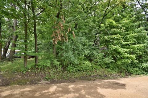 10711 Willy Ave, Algonquin, IL 60102 photo 26
