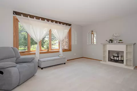 871 E Francis Rd, New Lenox, IL 60451 photo 18