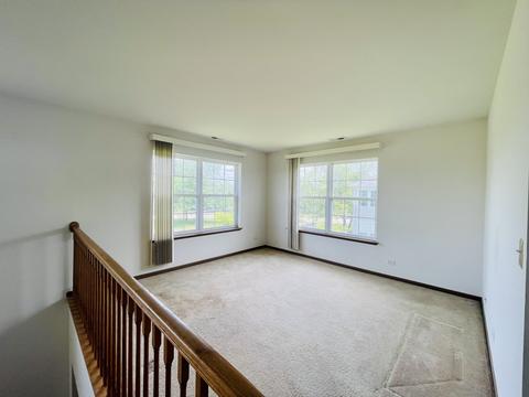 198 Durango Dr, Gilberts, IL 60136 photo 13