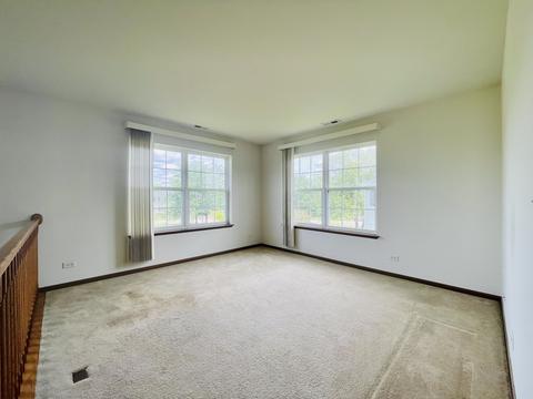 198 Durango Dr, Gilberts, IL 60136 photo 16