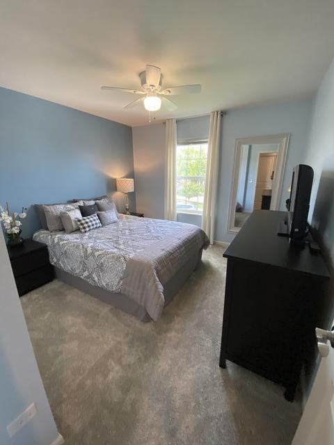 706 Overlook Ct, Minooka, IL 60447 photo 26