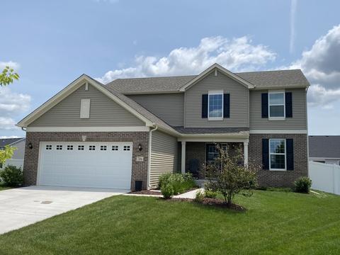 706 Overlook Ct, Minooka, IL 60447 photo 1