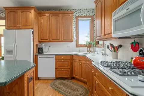 42 W545 Mcdonald Rd, Elgin, IL 60124 photo 16