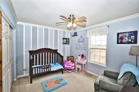 2106 Cabrillo Ln, Hoffman Estates, IL 60192 photo 25