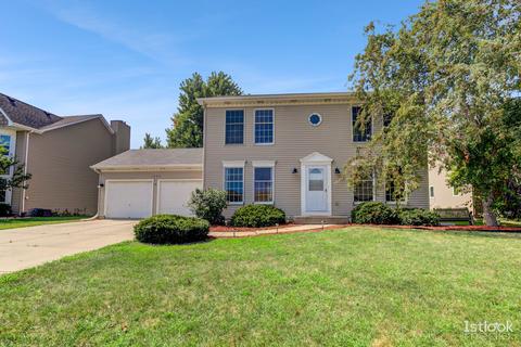 1909 Chestnut Hill Rd, Plainfield, IL 60586 photo 1