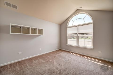 16613 Fox Run Cir, Plainfield, IL 60586 photo 14