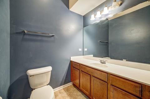 16613 Fox Run Cir, Plainfield, IL 60586 photo 17