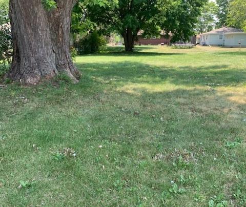 303 Grant St, Harvard, IL 60033 photo 2