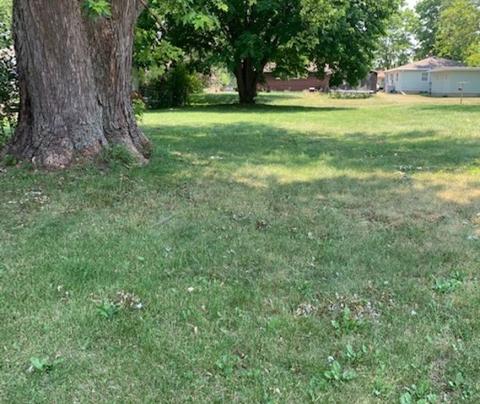 303 Grant St, Harvard, IL 60033 photo 3