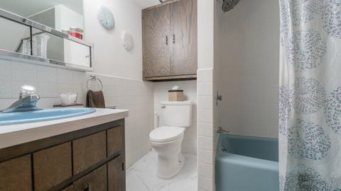 2052 E Hickory St, Crete, IL 60417 photo 73