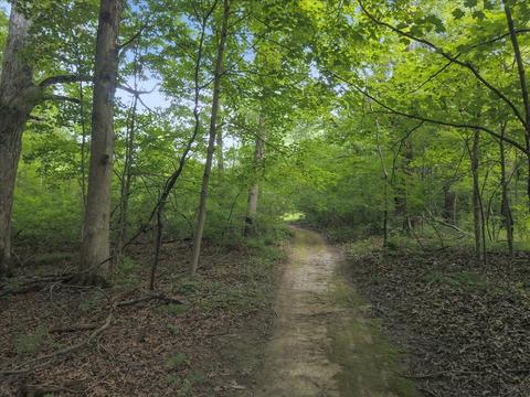 18655 Tomahawk Trl, Danvers, IL 61732 photo 5