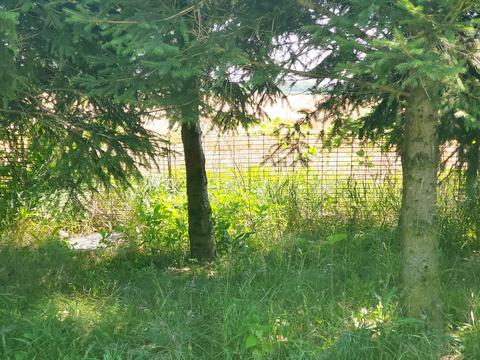1179 E 2100 North Rd, Danforth, IL 60930 photo 34