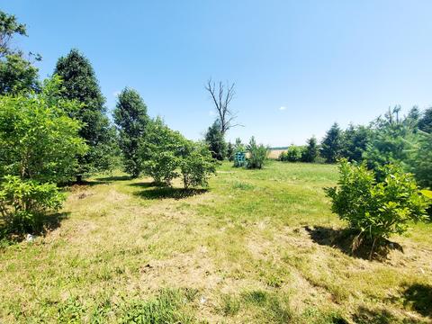 1179 E 2100 North Rd, Danforth, IL 60930 photo 30