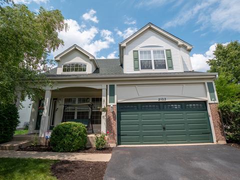 2103 Periwinkle Ln, Naperville, IL 60540 photo 2
