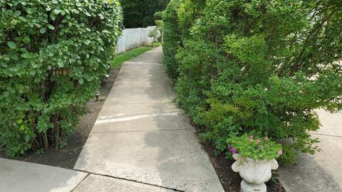 2135 Butternut Ln, Northbrook, IL 60062 photo 47