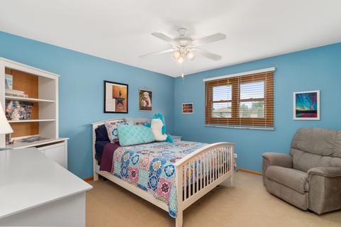 9253 Elm Ave, Mokena, IL 60448 photo 13