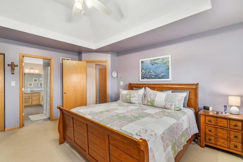 9253 Elm Ave, Mokena, IL 60448 photo 11