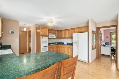 9253 Elm Ave, Mokena, IL 60448 photo 6