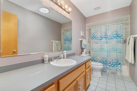 9253 Elm Ave, Mokena, IL 60448 photo 14