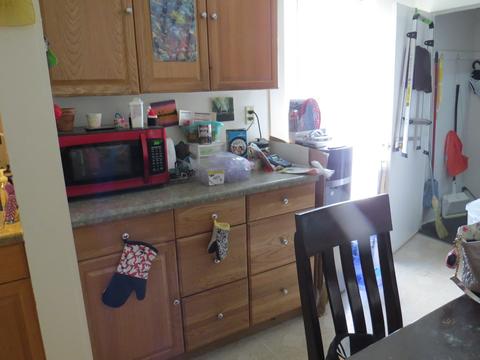372 Hendee St, Elgin, IL 60123 photo 22