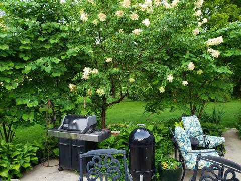 1213 Howard Cir, Wheaton, IL 60187 photo 36