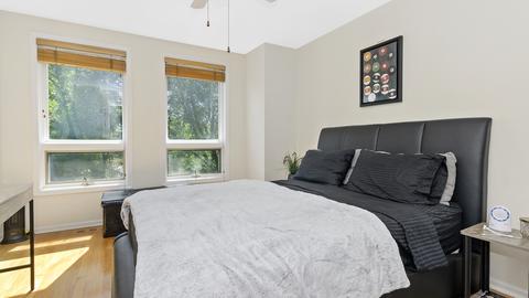 919 E 53rd St, Chicago, IL 60615 photo 14
