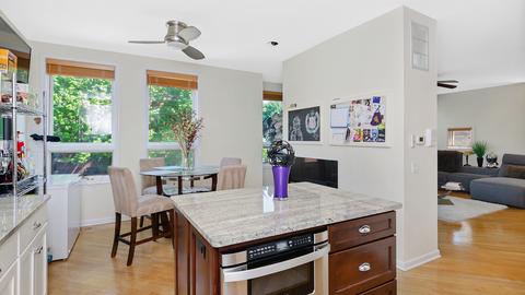 919 E 53rd St, Chicago, IL 60615 photo 9