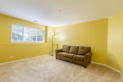 24 Cherbourg Ct, Wheeling, IL 60090 photo 17