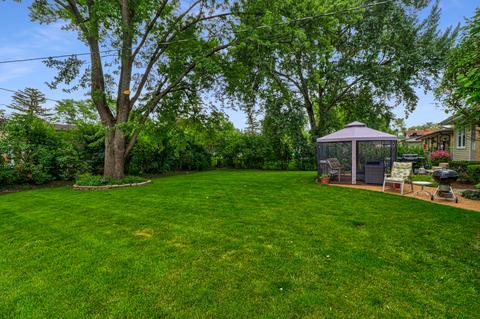 447 S Main St, Bartlett, IL 60103 photo 30