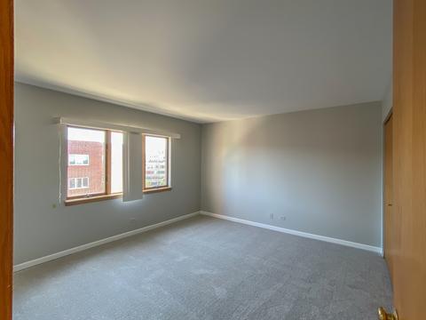 545 S River Rd #702A, Des Plaines, IL 60016 photo 13