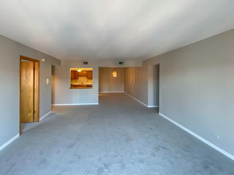 545 S River Rd #702A, Des Plaines, IL 60016 photo 4