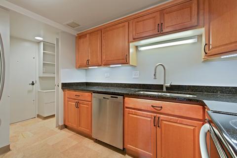 175 E Delaware Pl #6120, Chicago, IL 60611 photo 10
