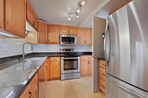 175 E Delaware Pl #6120, Chicago, IL 60611 photo 9