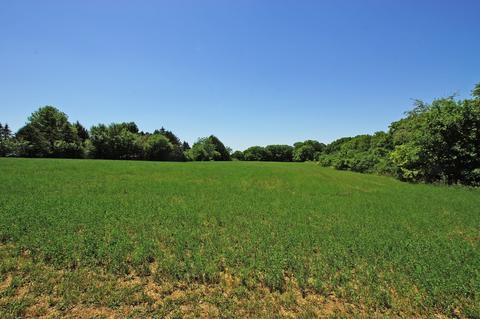 10502 N Mulberry Rd, Leaf River, IL 61047 photo 29