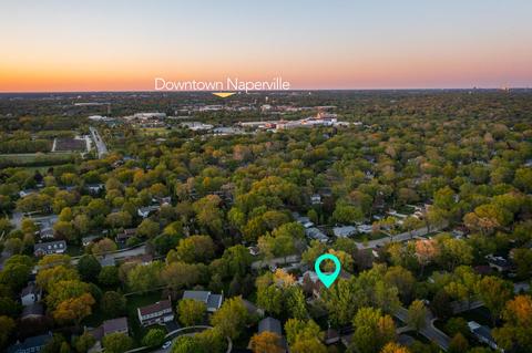1013 Emerald Dr, Naperville, IL 60540 photo 37