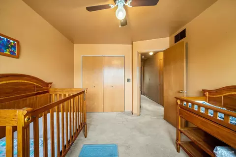 1813 Olde Mill Rd, Plainfield, IL 60586 photo 21