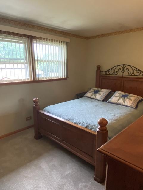 638 Juniper Ln, Bartlett, IL 60103 photo 18