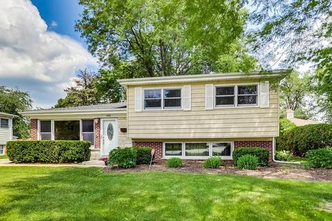 405 Hatlen Ave, Mount Prospect, IL 60056 photo 3