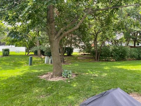 1264 Christopher Ct #43, Elgin, IL 60120 photo 21
