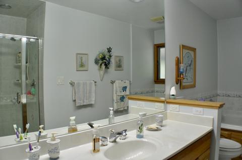 23658 W Devon Dr, Channahon, IL 60410 photo 27