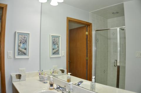 23658 W Devon Dr, Channahon, IL 60410 photo 26