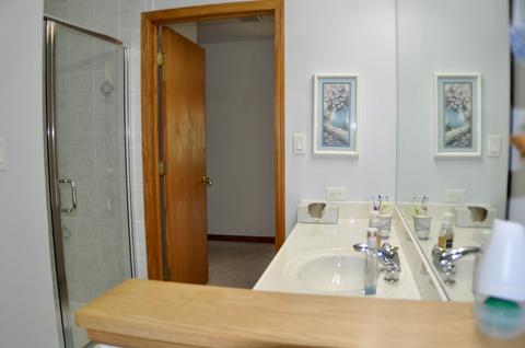 23658 W Devon Dr, Channahon, IL 60410 photo 28
