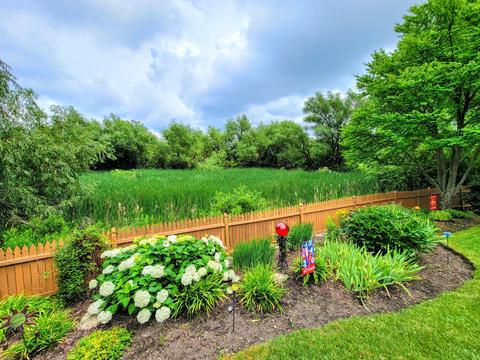 615 Downey St, Hoffman Estates, IL 60169 photo 8