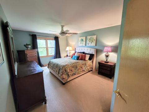 615 Downey St, Hoffman Estates, IL 60169 photo 46
