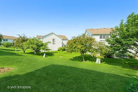 326 Emerald Ln, Algonquin, IL 60102 photo 21