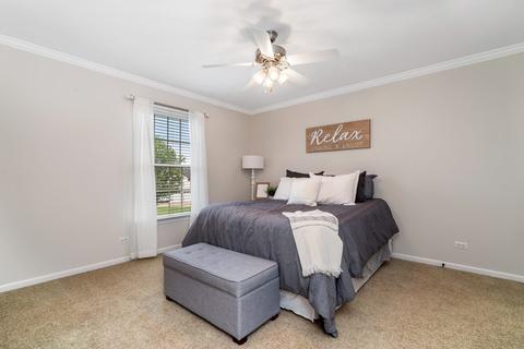 12906 Skyline Dr, Plainfield, IL 60585 photo 24